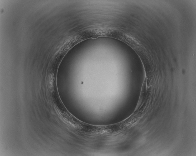 X0000067350646200604030935