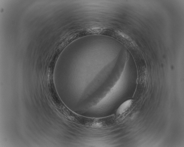 X0000067350647200604030935