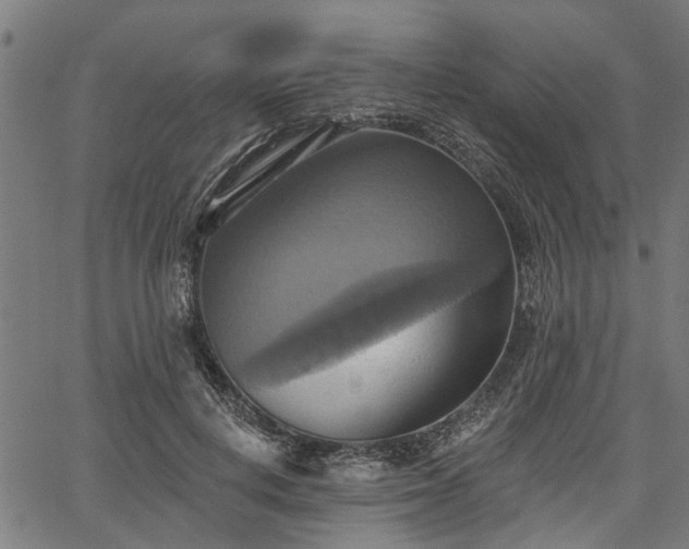 X0000067350648200604030935