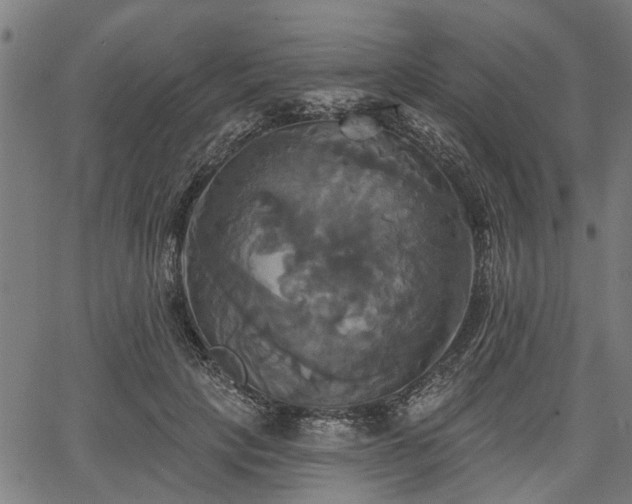 X0000067350649200604030935