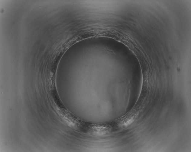 X0000067350650200604030935