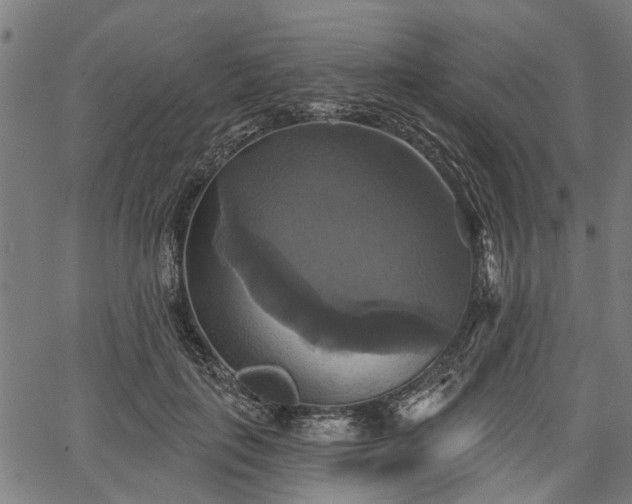 X0000067350651200604030935