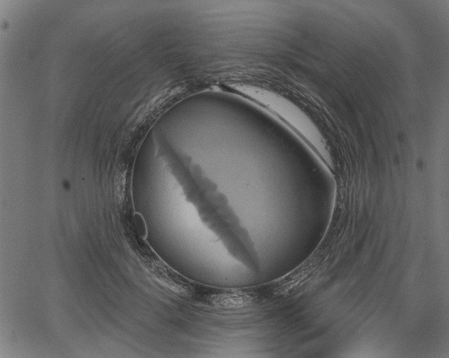 X0000067350652200604030935