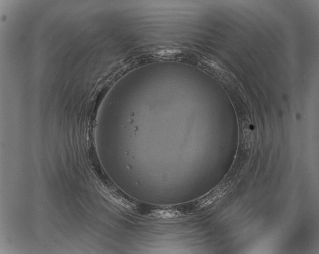 X0000067350654200604030935