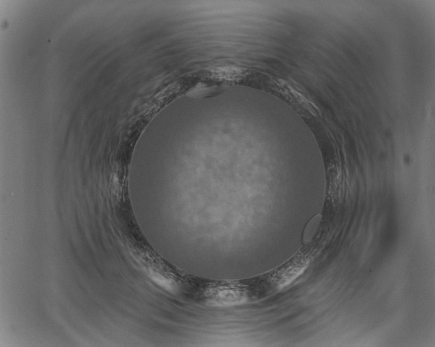 X0000067350655200604030935