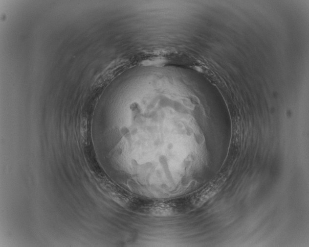 X0000067350656200604030935