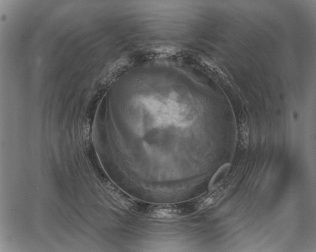 X0000067350657200604030935