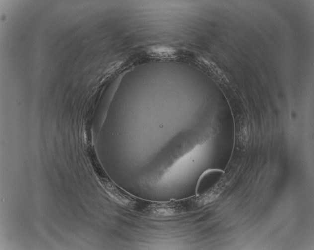 X0000067350658200604030935