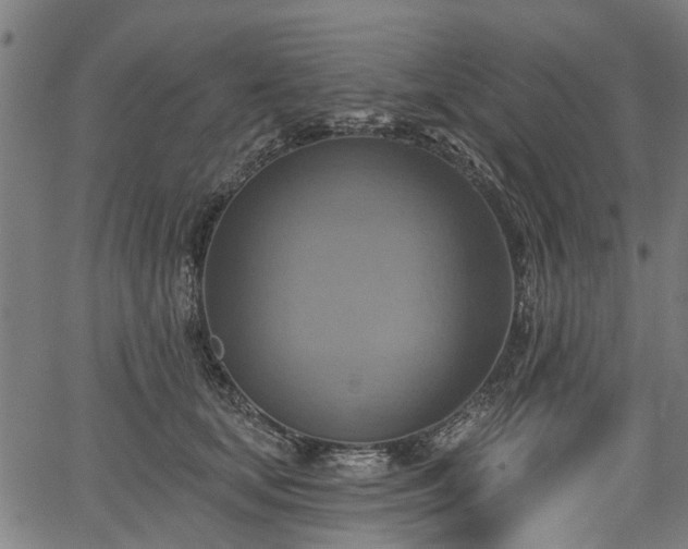 X0000067350659200604030935