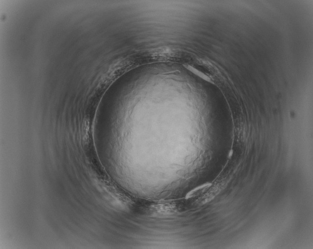 X0000067350660200604030935