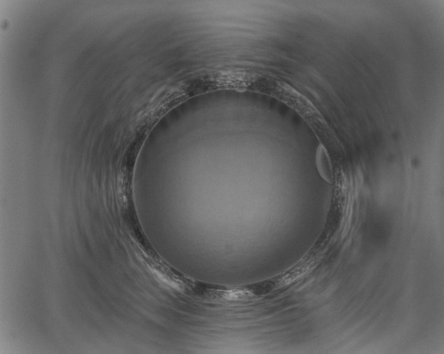 X0000067350663200604030935