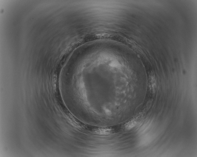 X0000067350664200604030935