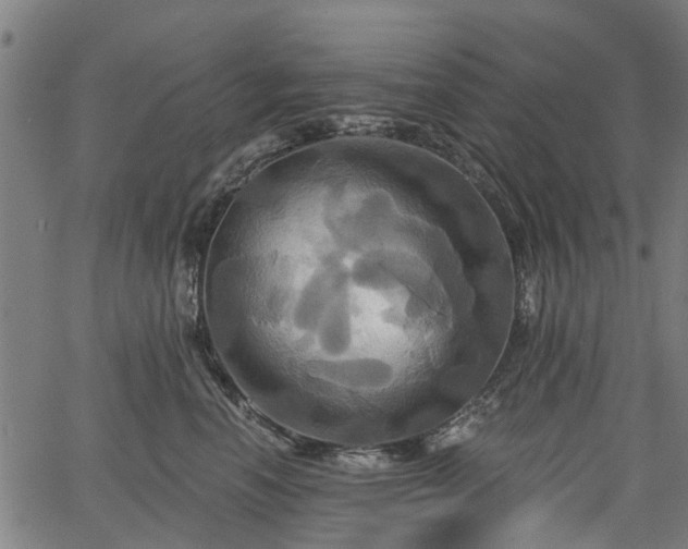 X0000067350666200604030935