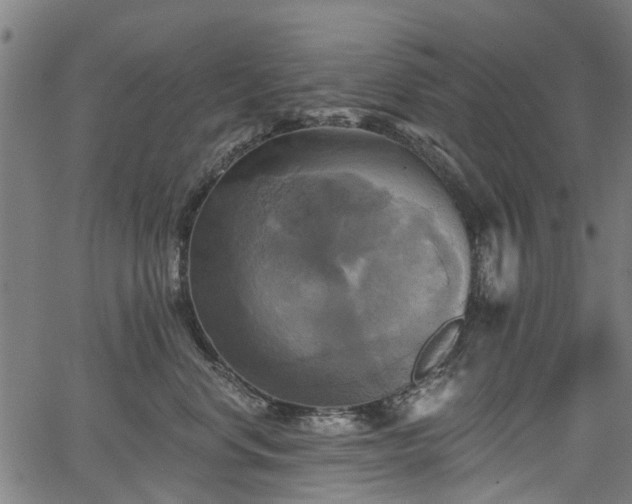 X0000067350668200604030935