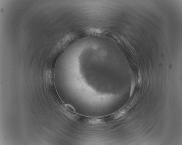 X0000067350669200604030935