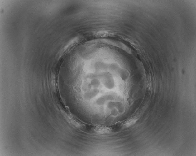 X0000067350670200604030935