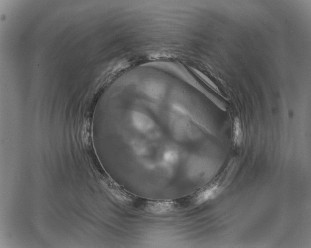 X0000067350671200604030935