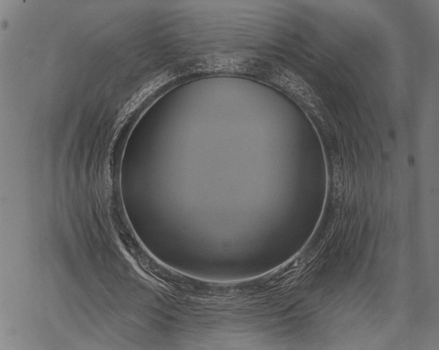 X0000067350674200604030935