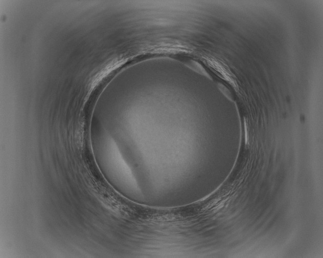 X0000067350675200604030935