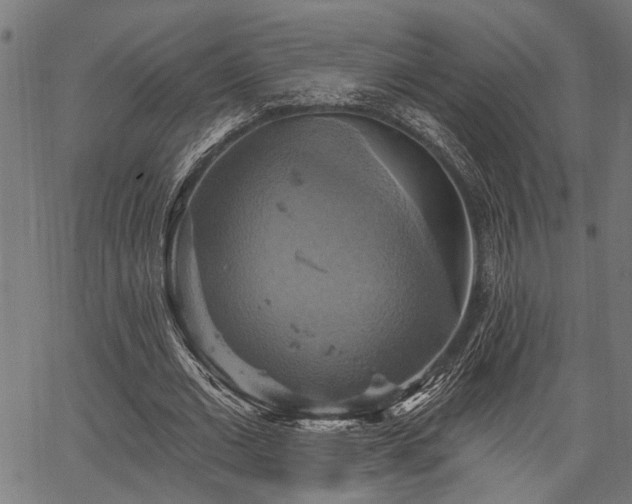 X0000067350677200604030934