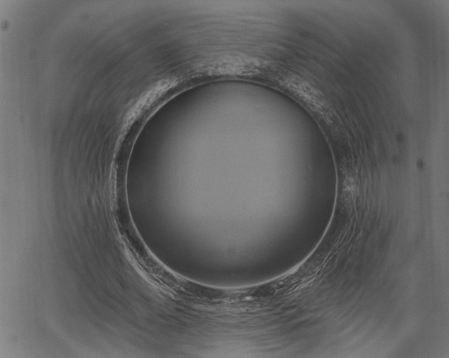 X0000067350678200604030934