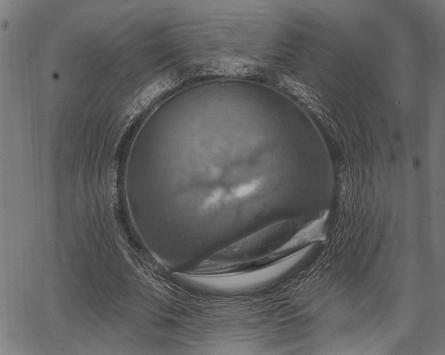 X0000067350679200604030934