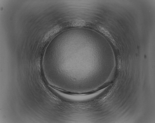 X0000067350681200604030934