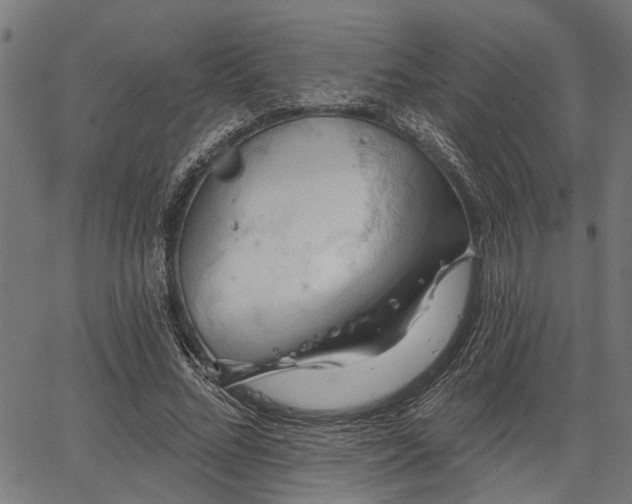 X0000067350684200604030934