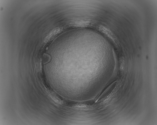 X0000067350685200604030934