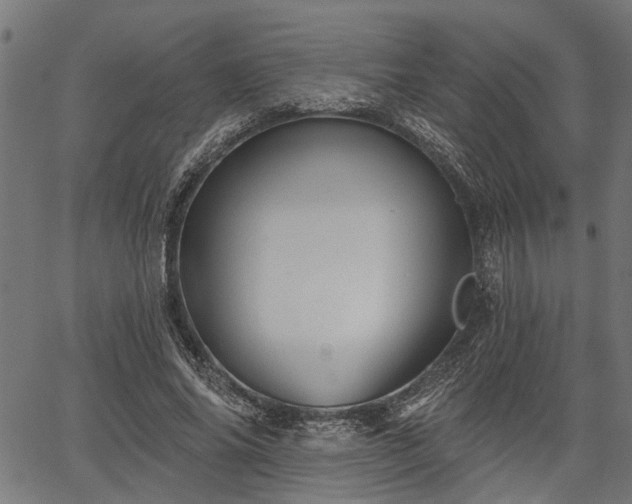 X0000067350686200604030934