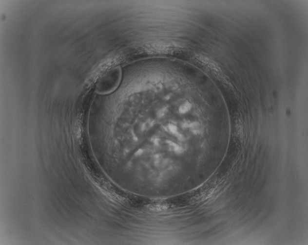 X0000067350687200604030934