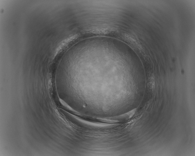 X0000067350688200604030934