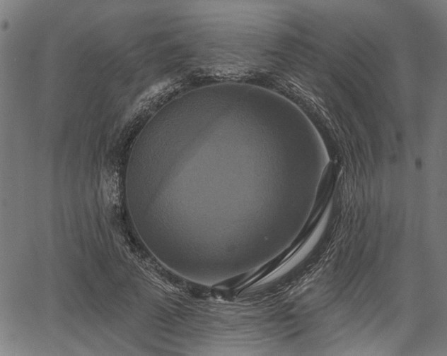 X0000067350689200604030934