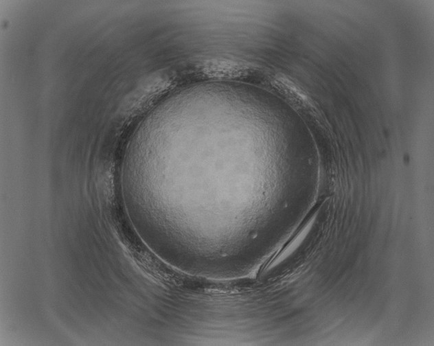 X0000067350690200604030934