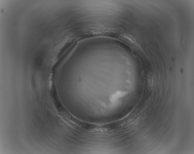 X0000067350691200604030934