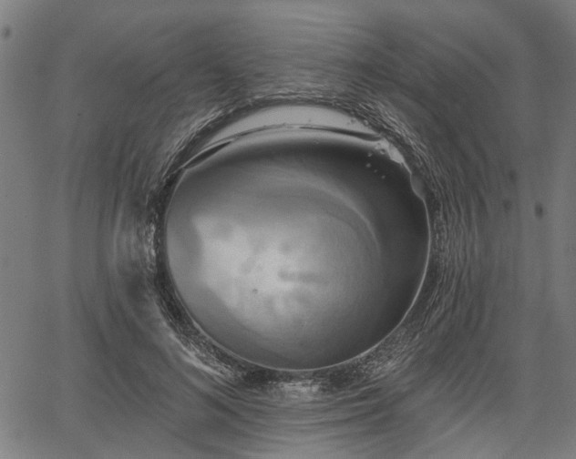 X0000067350692200604030934