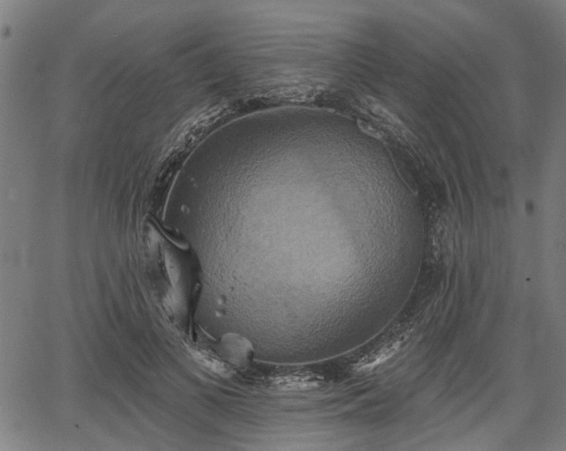 X0000067350693200604030934