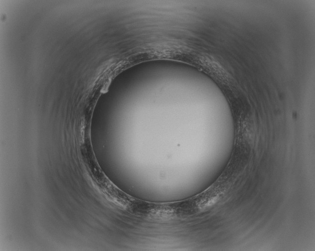 X0000067350694200604030934