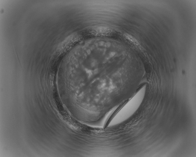 X0000067350695200604030934