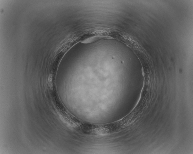 X0000067350696200604030934