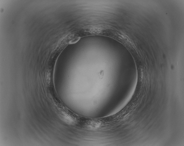 X0000067350697200604030934