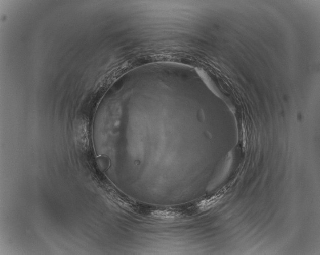 X0000067350699200604030934