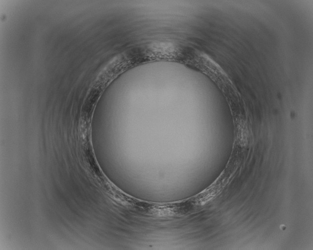 X0000067350701200604030934