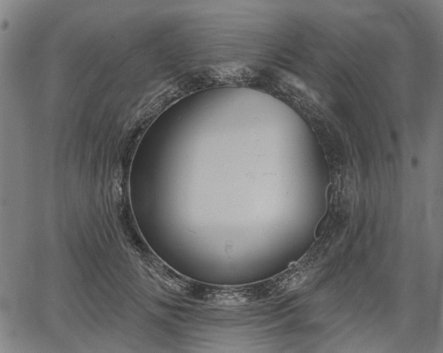 X0000067350702200604030934