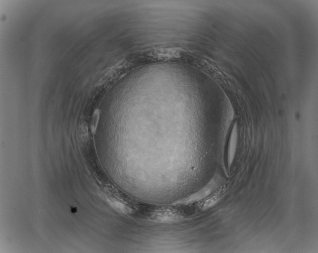 X0000067350704200604030934