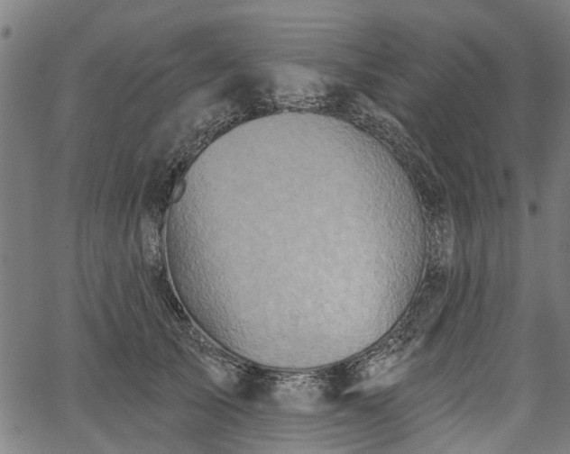 X0000067350705200604030934