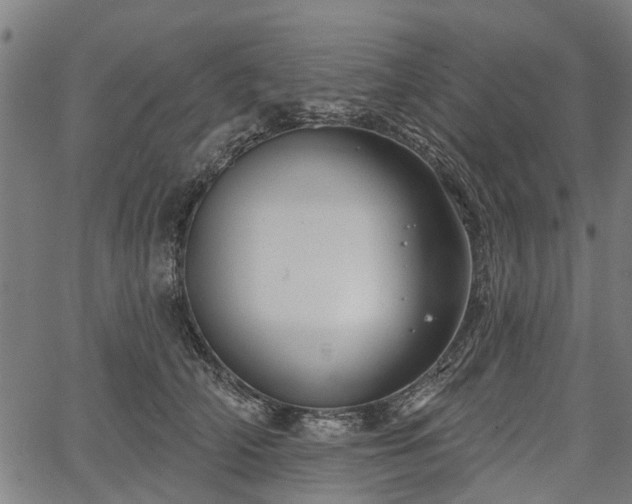 X0000067350706200604030934