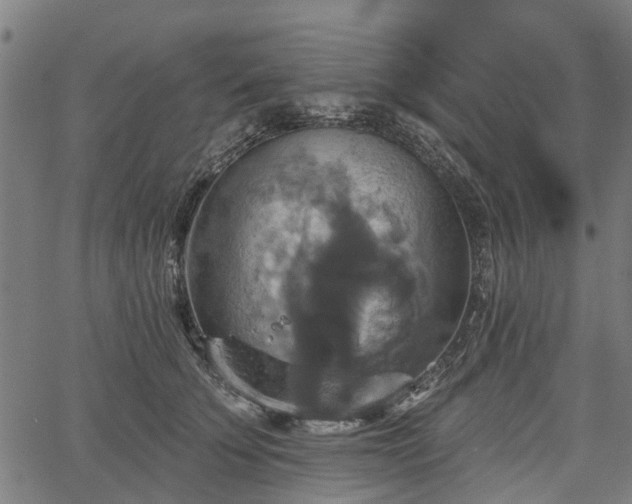 X0000067350707200604030934