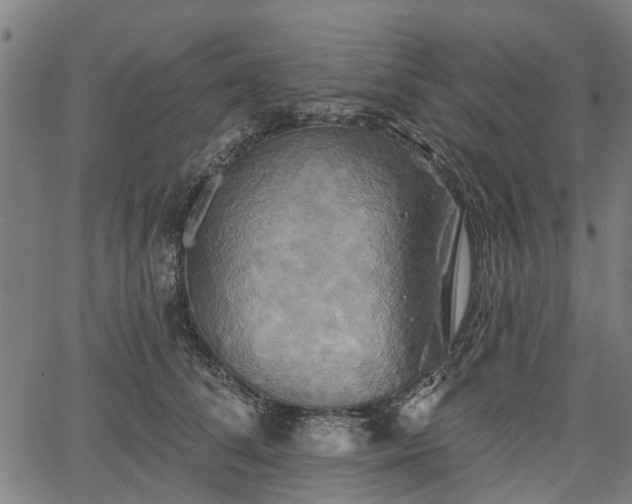 X0000067350708200604030934