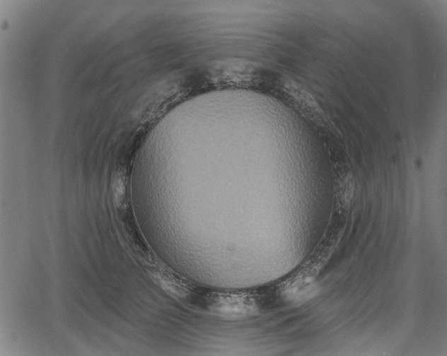 X0000067350709200604030934